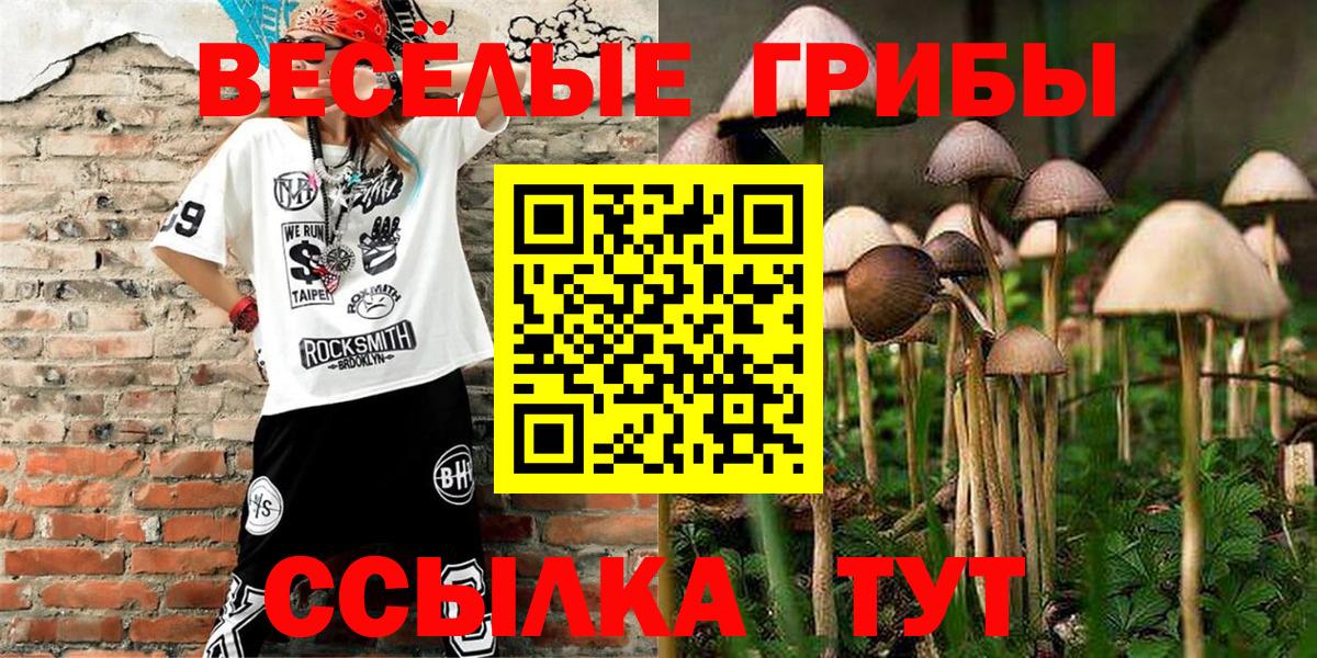 Псилоцибиновые грибы MAGIC MUSHROOMS Острогожск
